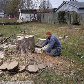 Tree Cutting/Removal