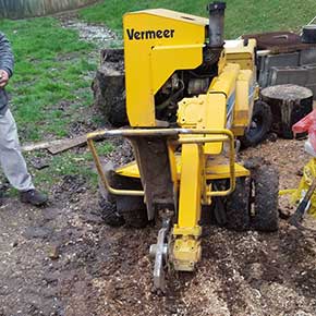 Stump Grinding/Removal